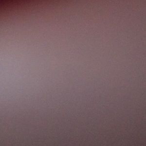 Meet your Posher, Harrison